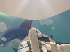 -土豆口腔(凤凰北总店)