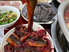 现划鳝鱼-储奇门鳝鱼火锅(总店)