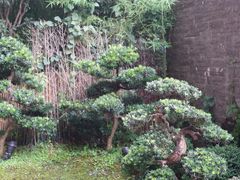 -本逸·割烹料理(湖墅店)