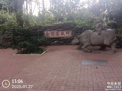 -金花茶公园