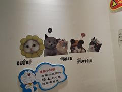 -藏猫猫咖啡主题馆(中央大道店)