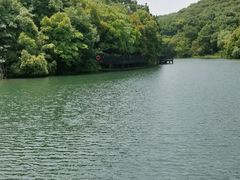 -白马涧龙池景区