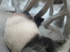 -宁波野生动物园