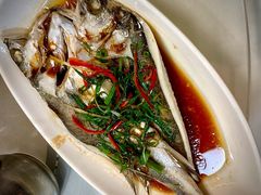 -日日香卤鹅饭店·澄海狮头鹅(澄海店)