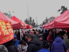 -蒲河大集