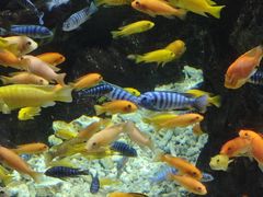 -太平洋海底世界