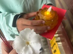 -三水森林公园