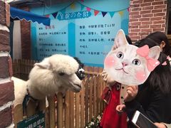 -佟小曼手工茶饼坊(鼓浪屿1店)
