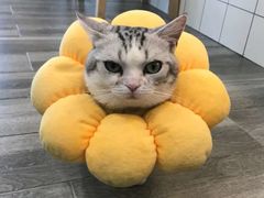 -Line 咖啡(石厦花园店)