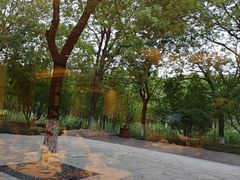 -阳澄湖费尔蒙酒店颐丰阁中餐厅(马鞍山西路店)