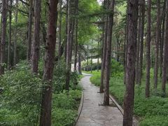 -长春市南湖公园