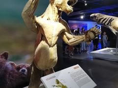 -生命奥秘博物馆