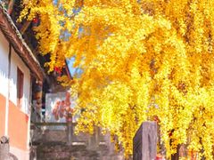 -金堂县云顶石城风景区