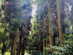 -太阳湾风景区