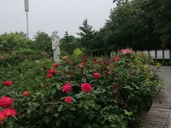 -丰台花园