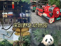 -深圳野生动物园