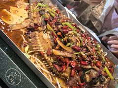-美蛙四季(六里桥店)