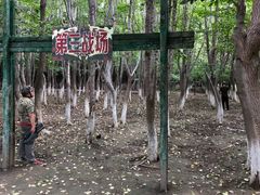 -亲兄弟真人CS团建拓展基地