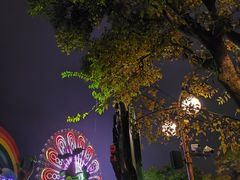 -七彩云南欢乐世界