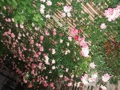 -瓦库茶馆17号(海汇港店)