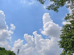 -东莞植物园