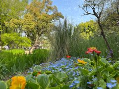 -上海共青森林公园