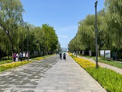 -野鸭湖国家湿地公园