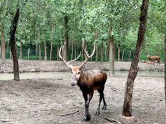 -溱湖国家湿地公园