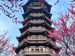 -洋湖国家湿地公园