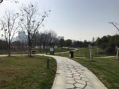 -滨湖塘西河公园