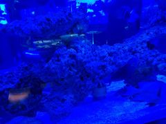 -上和臻品中国菜(花园街店)