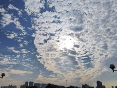 -洲头咀公园