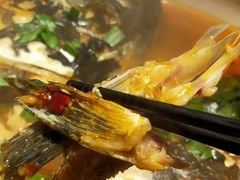 -千岛湖小鱼儿·淳安匠心农家菜