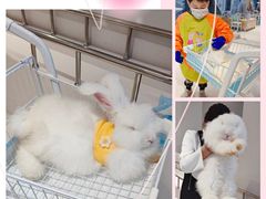 -怪兽屋·羊驼·猫咖·狗咖(俊华广场店)