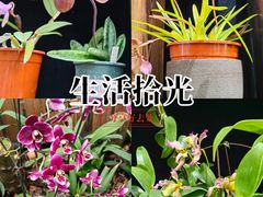 -国家植物园南园