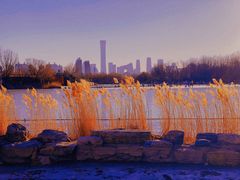 -朝阳公园游乐园