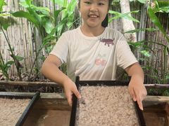 -大象粑粑造纸公园