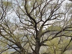 -窦大夫祠