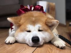 -YCHL Studios健身工作室(市二宫店)