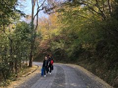 -紫金山山顶公园