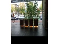 -新紫霞养生·影院足道·SPA(金山区店)