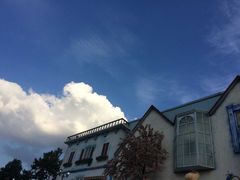 -紫颐香薰山谷景区