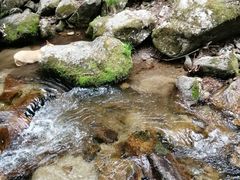 -庆岭迎宾园正宗活鱼馆