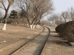 -永定河休闲森林公园