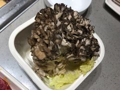 -海底捞火锅(公益西桥店)