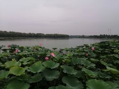 -素心小筑(后沙裕镇店)