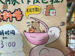 -海合安武汉极地海洋公园