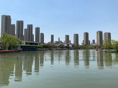 -青枫公园