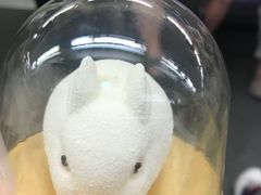-麦当劳(曲阳店)