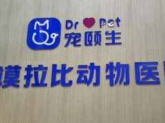 -宠颐生汉谟拉比宠物医院
